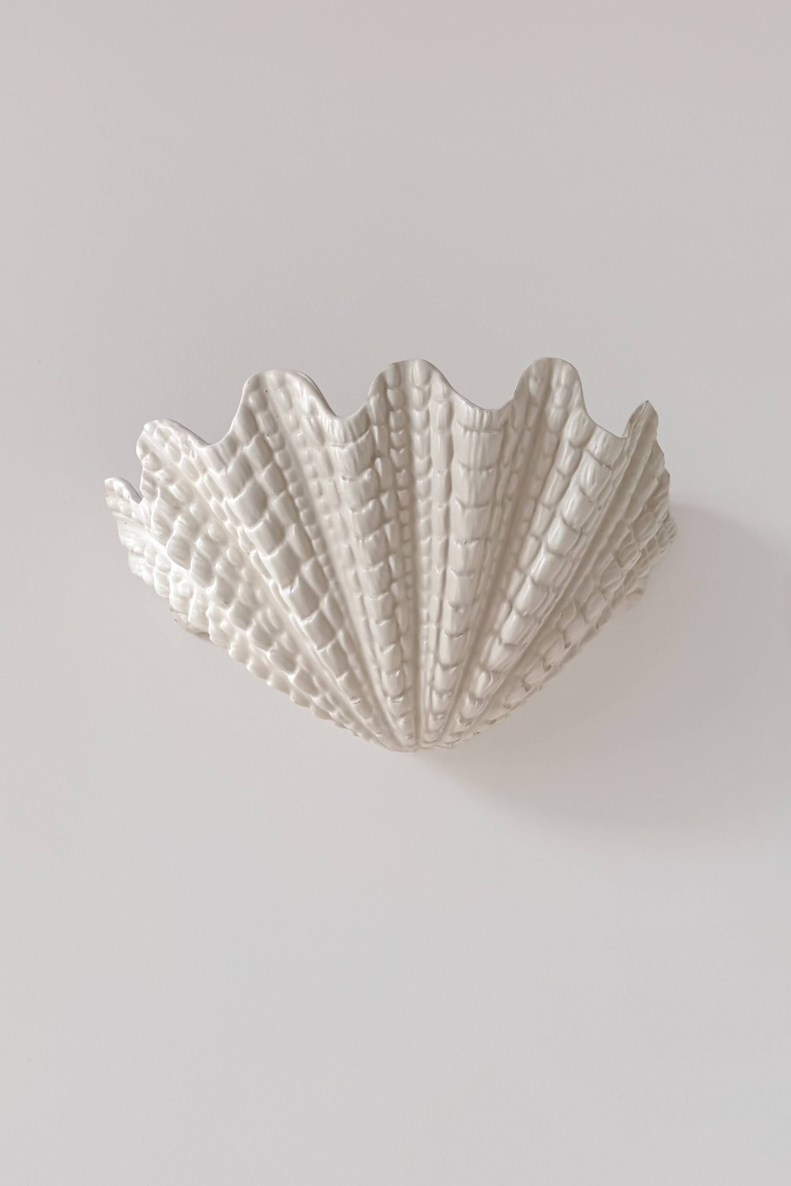 XL vintage shell wall light in plaster, France 1960