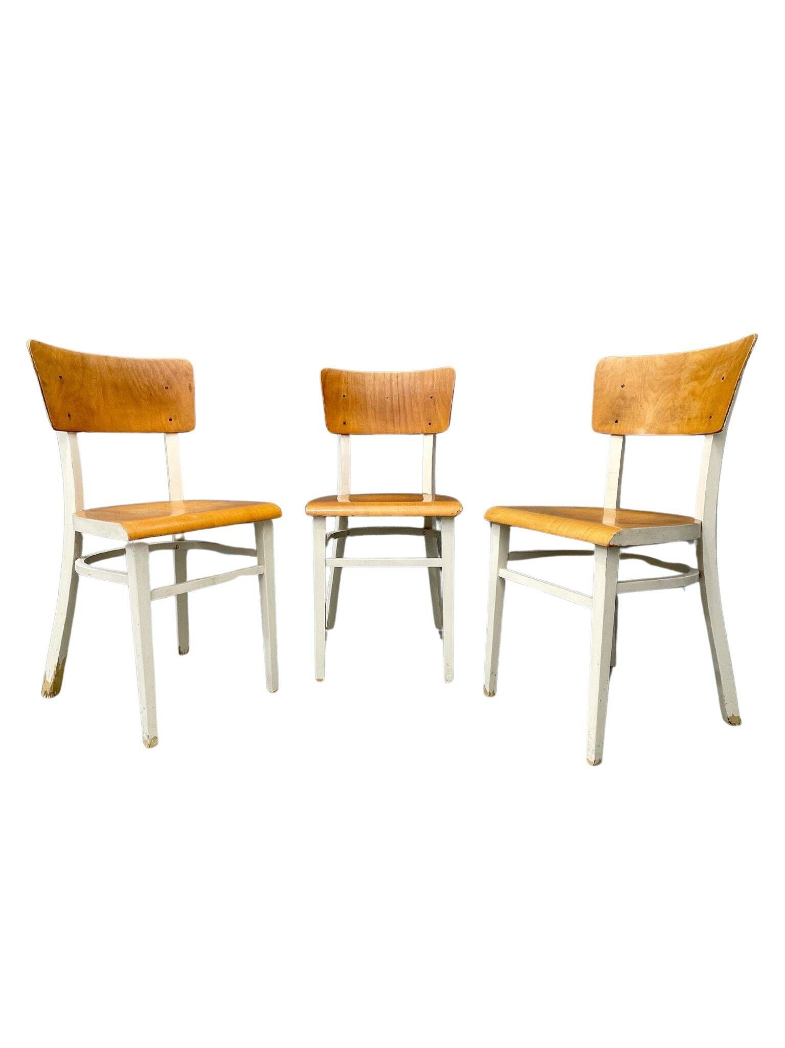 3 chaises en bois, Tchécoslovaquie années 1950