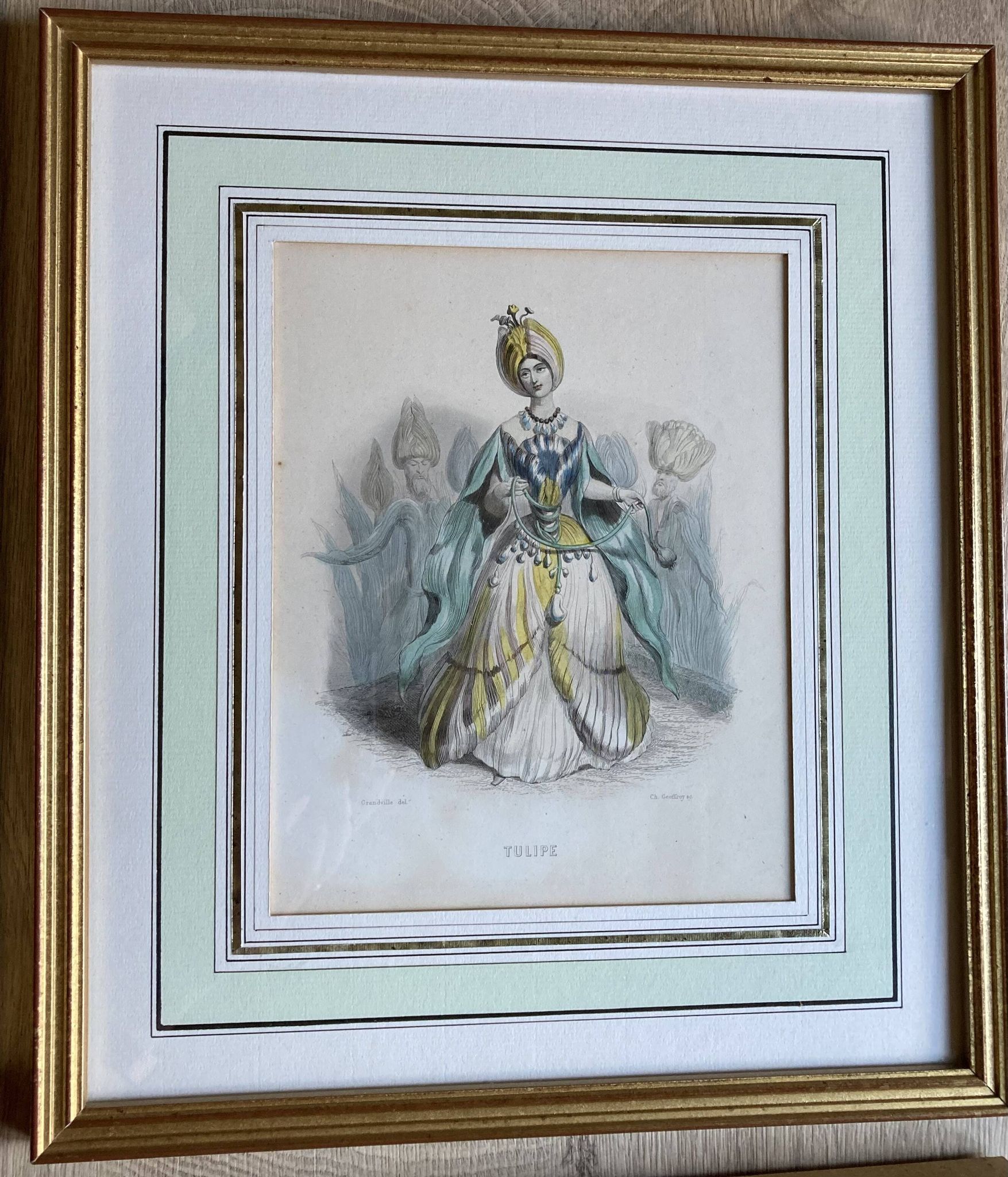 Lot 2 framed engravings "animated flowers" JJ Grandville: Linen and Tulip