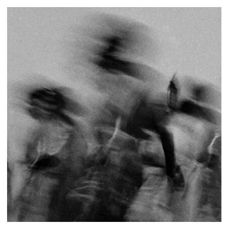 Fuzzy Women Group, India