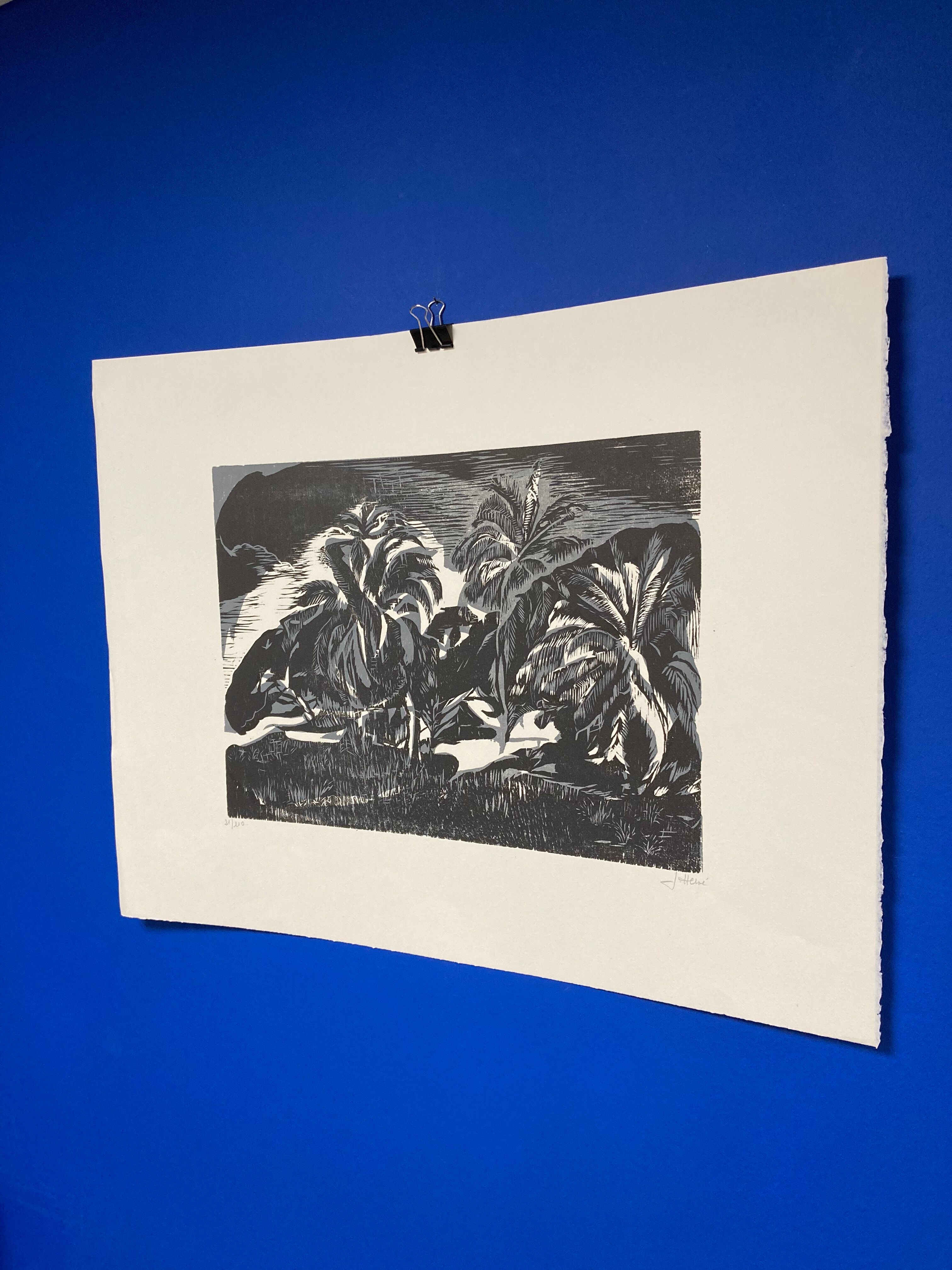 Illustration Le Bois des Cocotiers