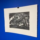 Illustration Le Bois des Cocotiers