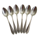 Set of 6 teaspoons in silver metal.