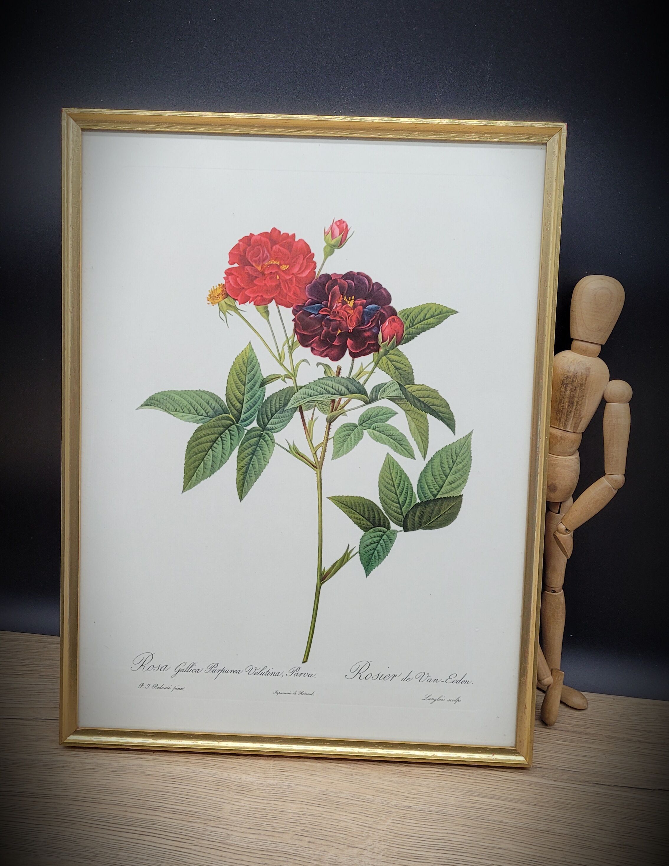 Lithograph under frame Rosier Van Eeden