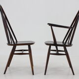 Set of 6 dining windsor chairs by Lucian Ercolani, italy, 1960