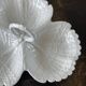 White earthenware plate