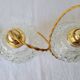 Duo of molded glass pendant lights
