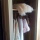 Parisian wardrobe