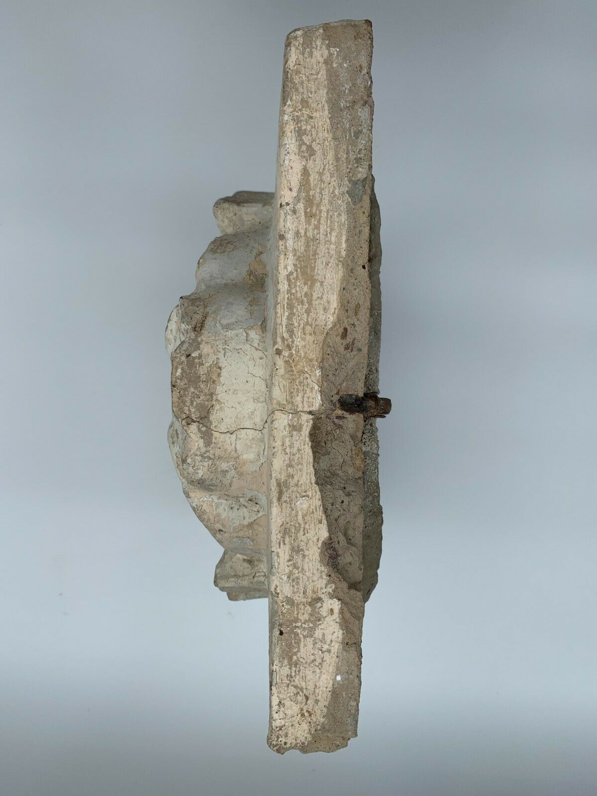 STONE SHELL 19TH PATINA OF ORIGIN SCULPTURE