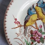 Pair of Luneville earthenware plates with bird decor