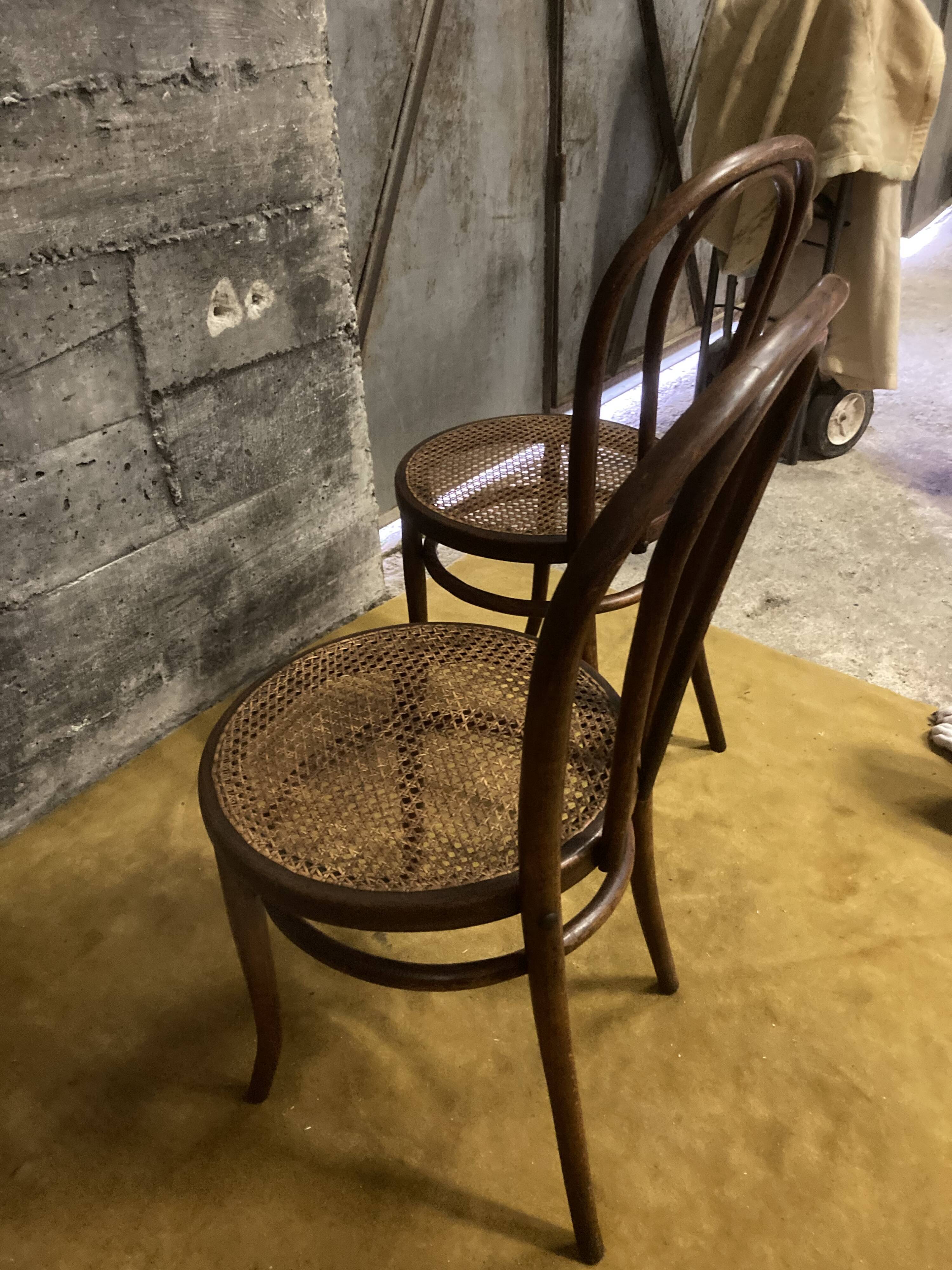 Duo of chairs bistrot Thonet early XXth