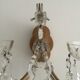 Two-arm crystal light wall light
