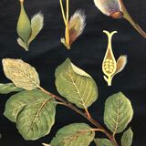 Saule d’affiche de cru en 1961