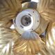 Masca golden flower wall lamp
