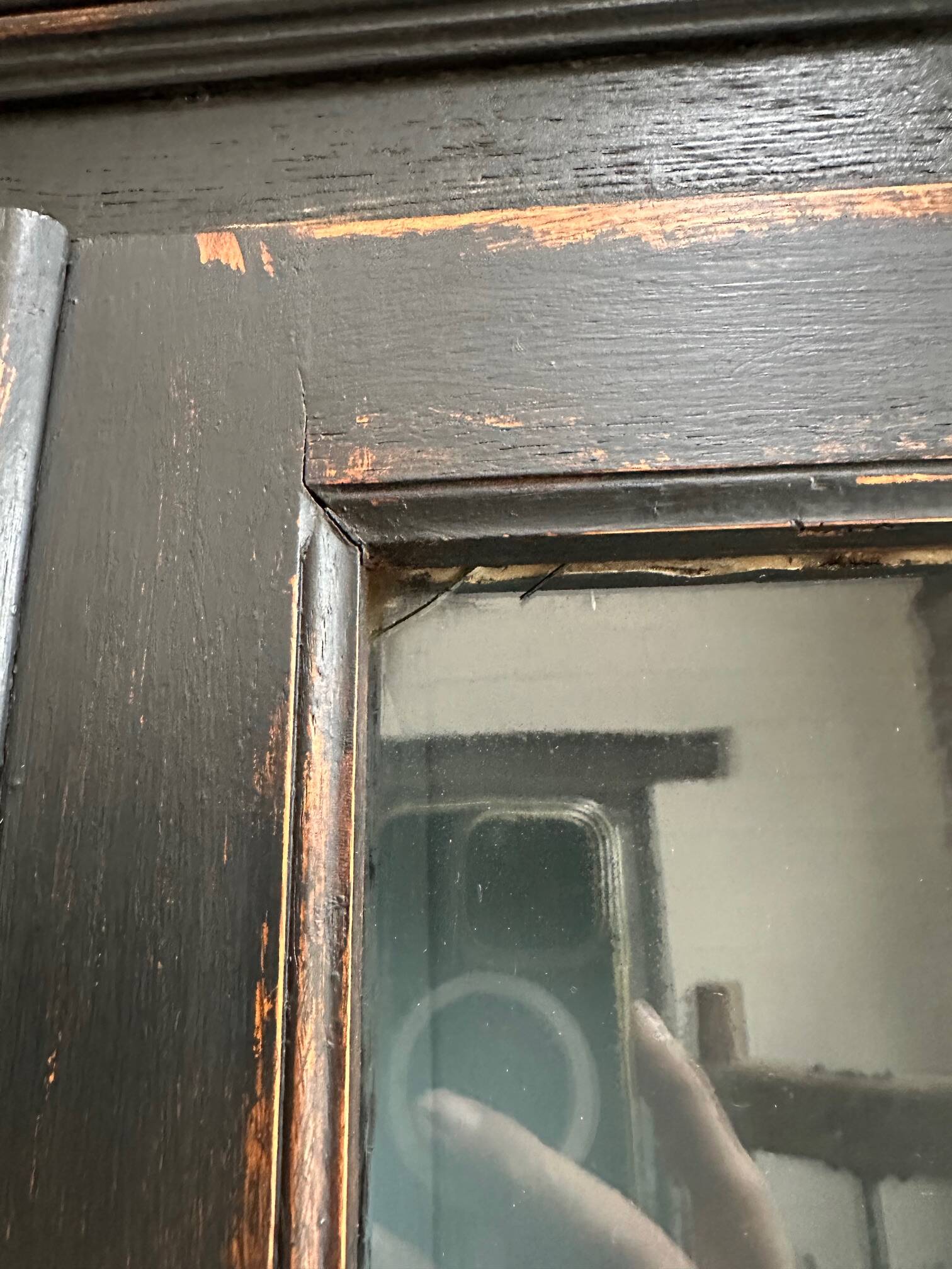 Late 19th century museum display case