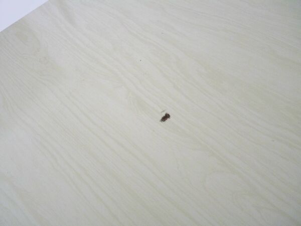 Robert wogensky (1919-2019) - au vol. tableau pressé en tirage limité