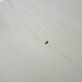 Robert wogensky (1919-2019) - on the fly. limited edition pressed painting