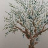 Painting signed watercolor Provençal landscape “the olive tree”