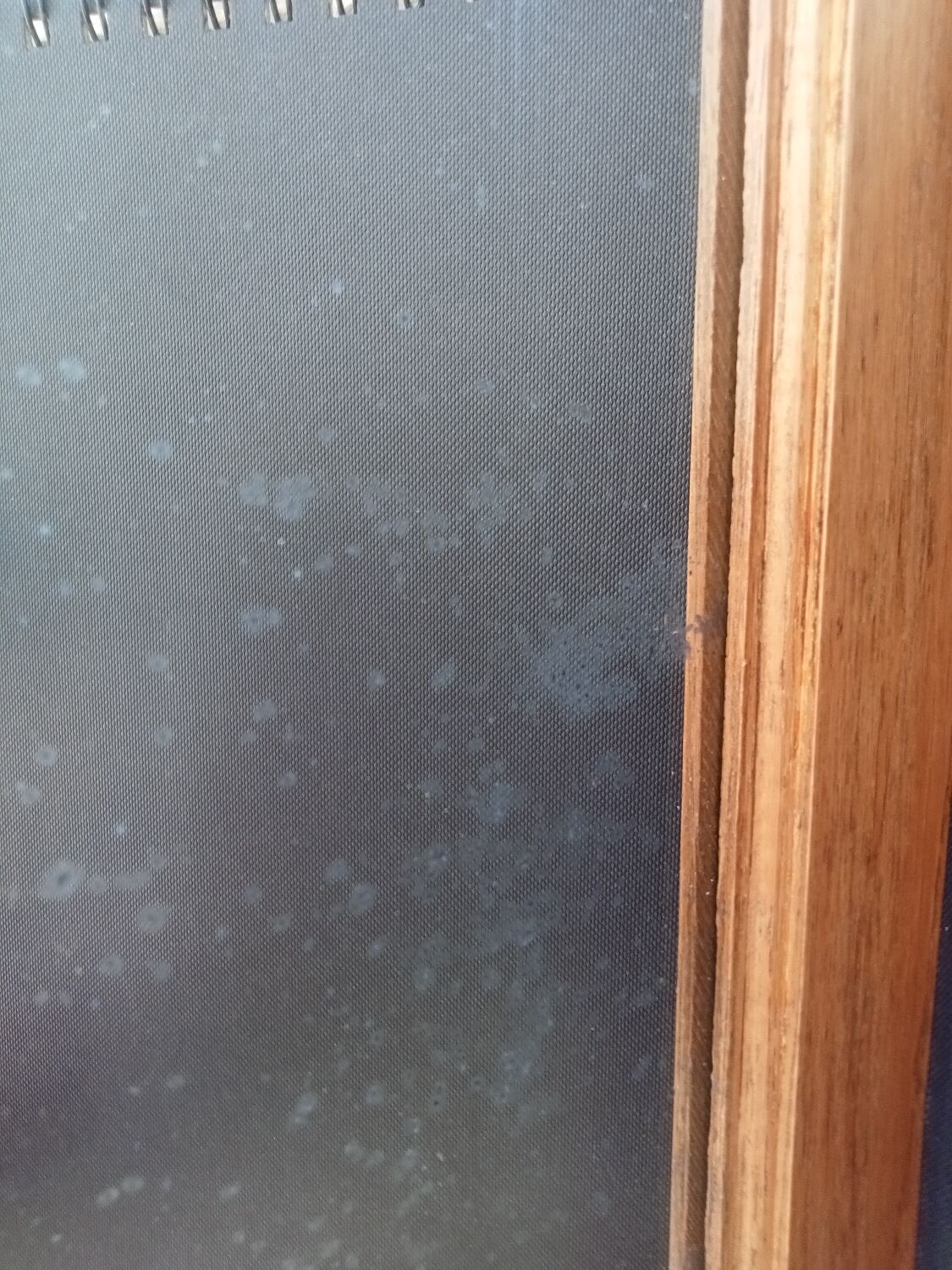 Parisian art deco wardrobe