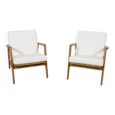 Mid-Century Model 300-139 Armchairs from Swarzędz Factory, 1960s, Set of 2