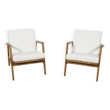 Mid-Century Model 300-139 Armchairs from Swarzędz Factory, 1960s, Set of 2