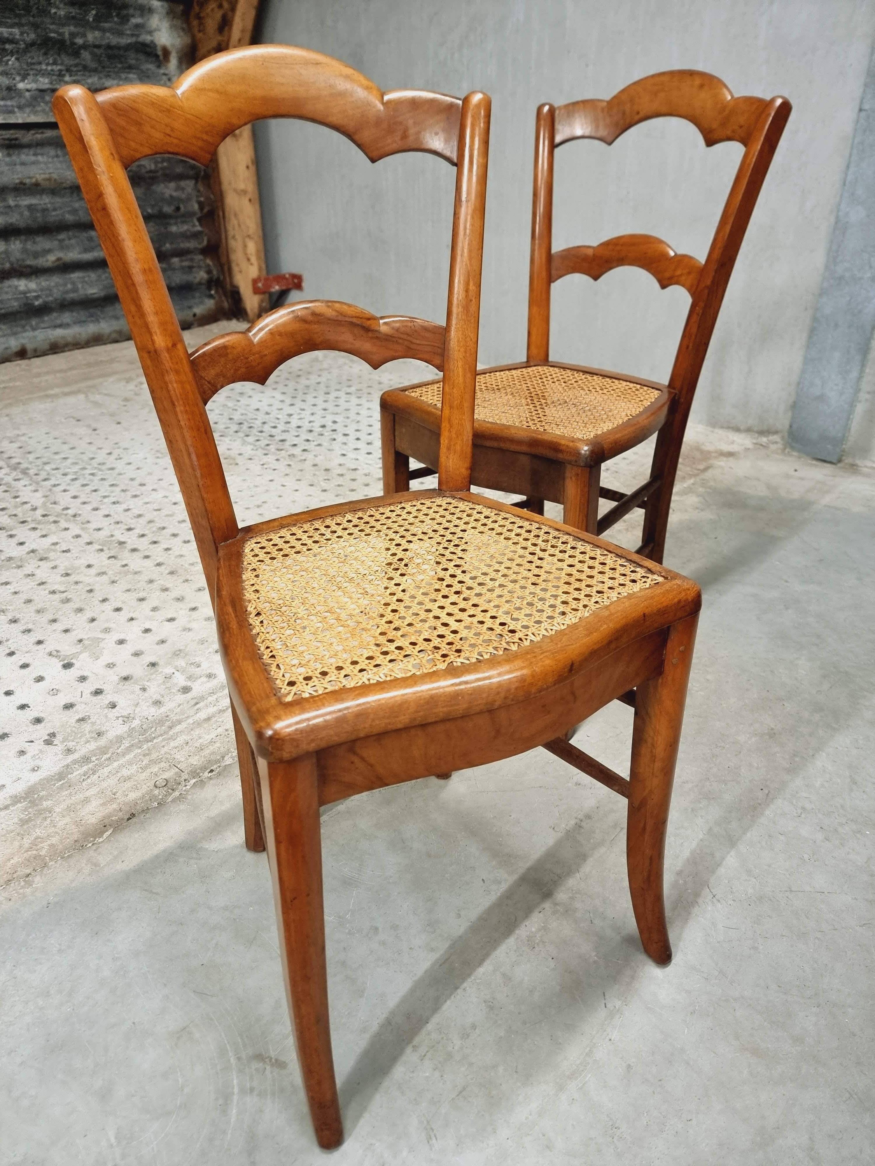 Antique set of chairs walnut with webbing
