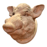 Terracotta boar's head