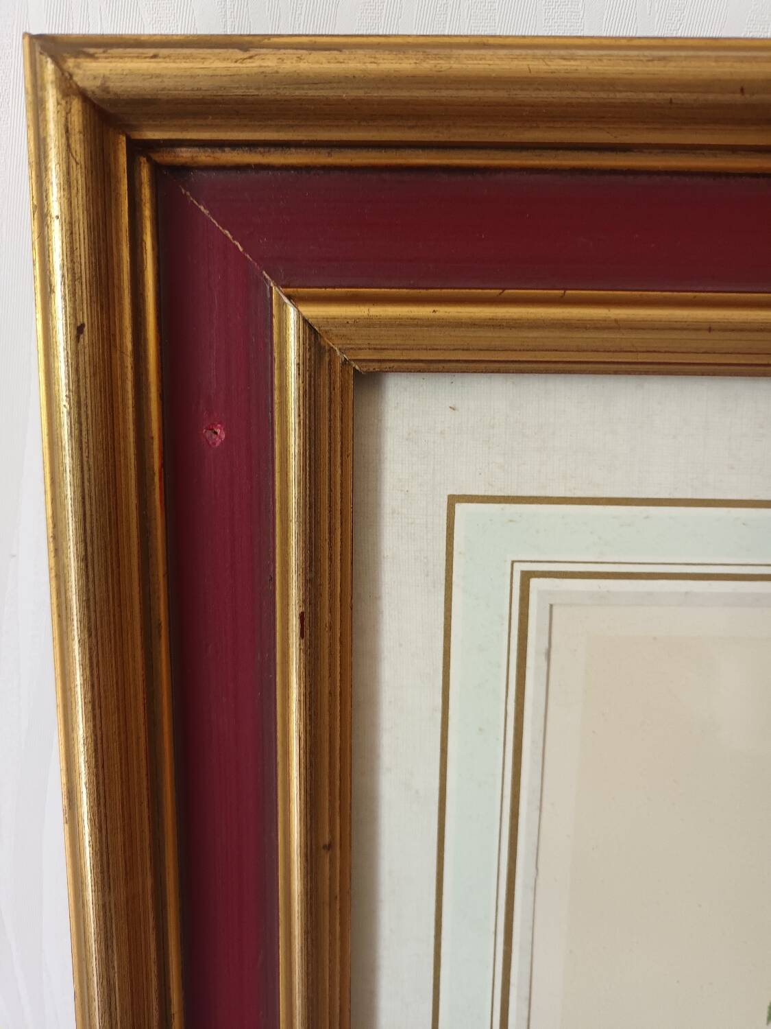 Vintage framed botanical poster