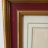 Vintage framed botanical poster