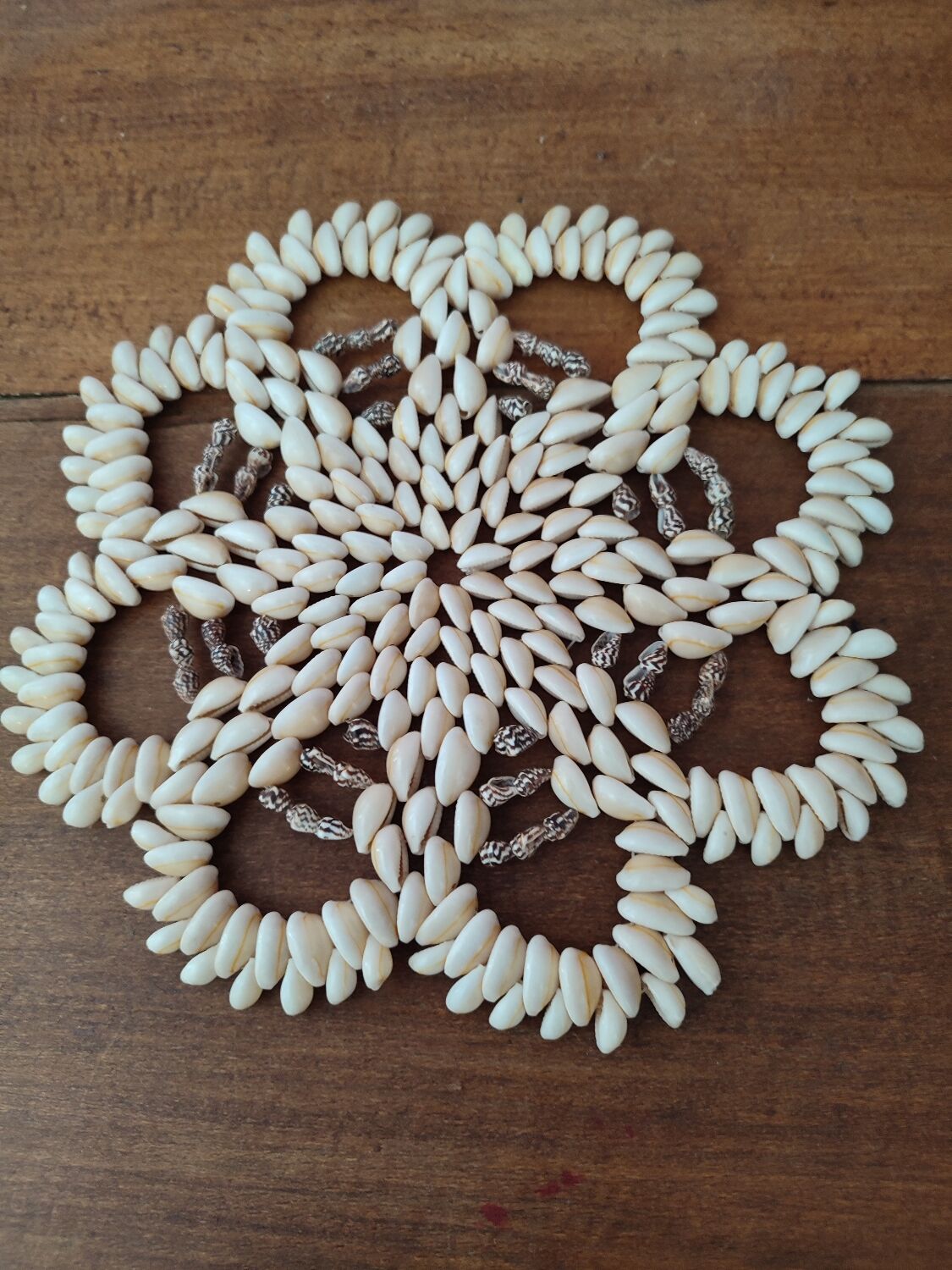Seashell trivets