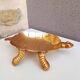 Brass turtle pocket emptier 1970