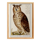 Small poster about the Grand Duke, after an old engraving from 1610.