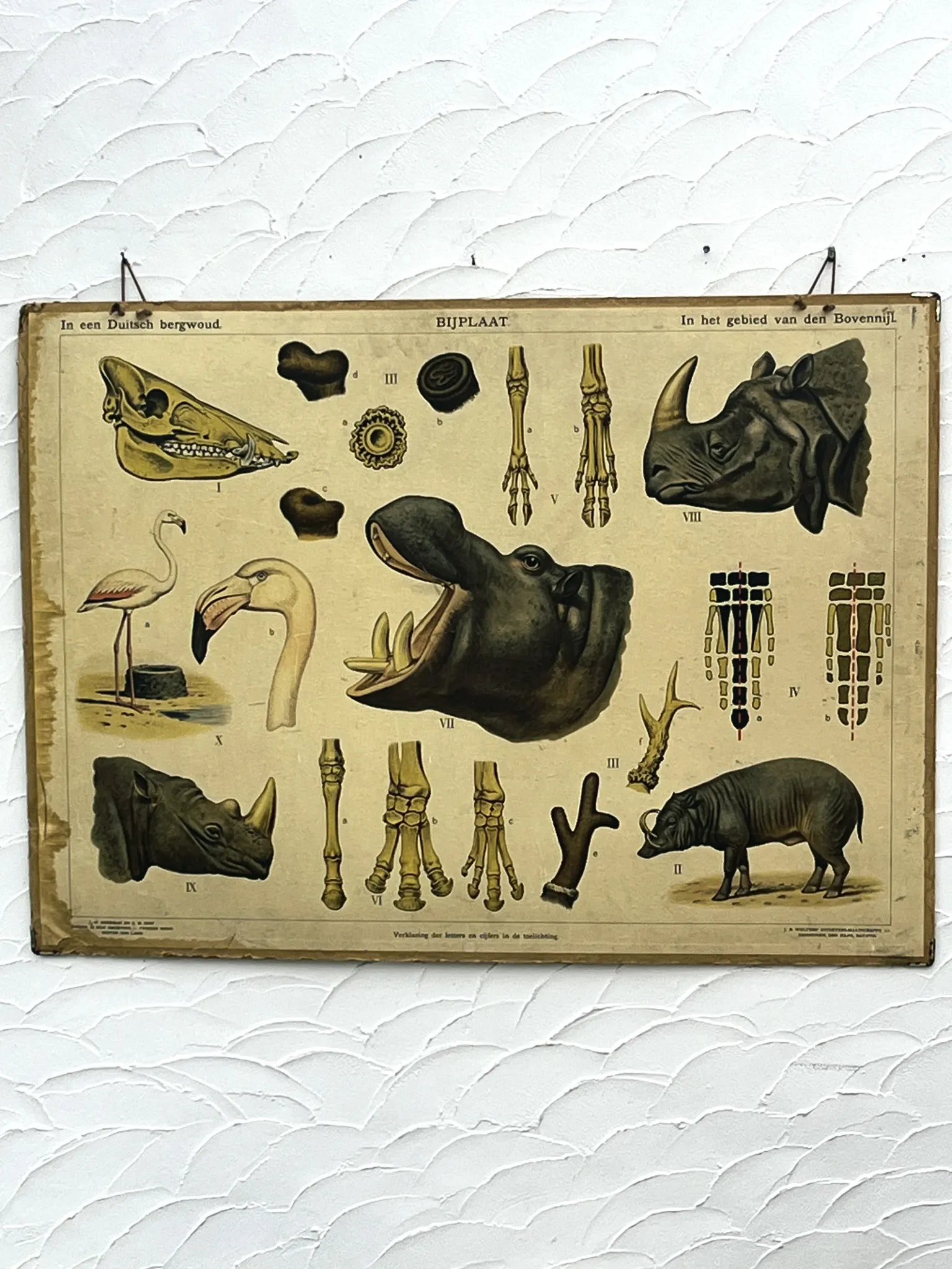 School poster J.B. Wolters
