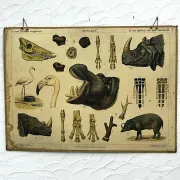 School poster J.B. Wolters