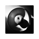 Limited edition art photo numbered dated and signed