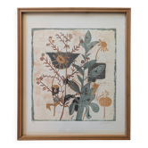 Gravure d'art botanique