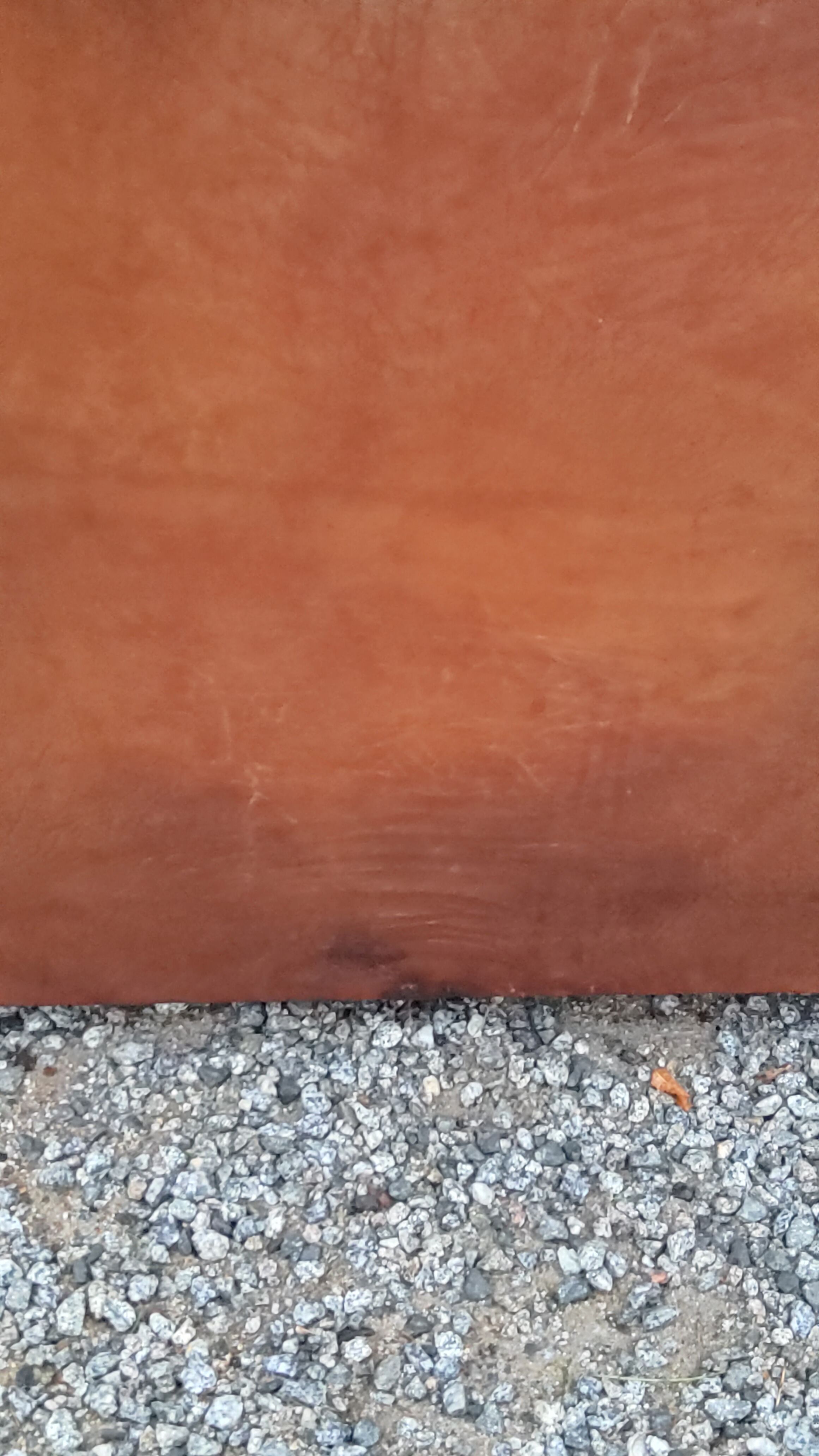 Leather club armchair back mustache from the 30s