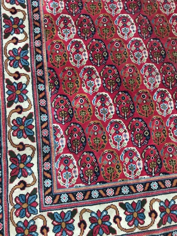 Carpet  Transylvania  170 x 268 cm