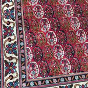 Carpet  Transylvania  170 x 268 cm