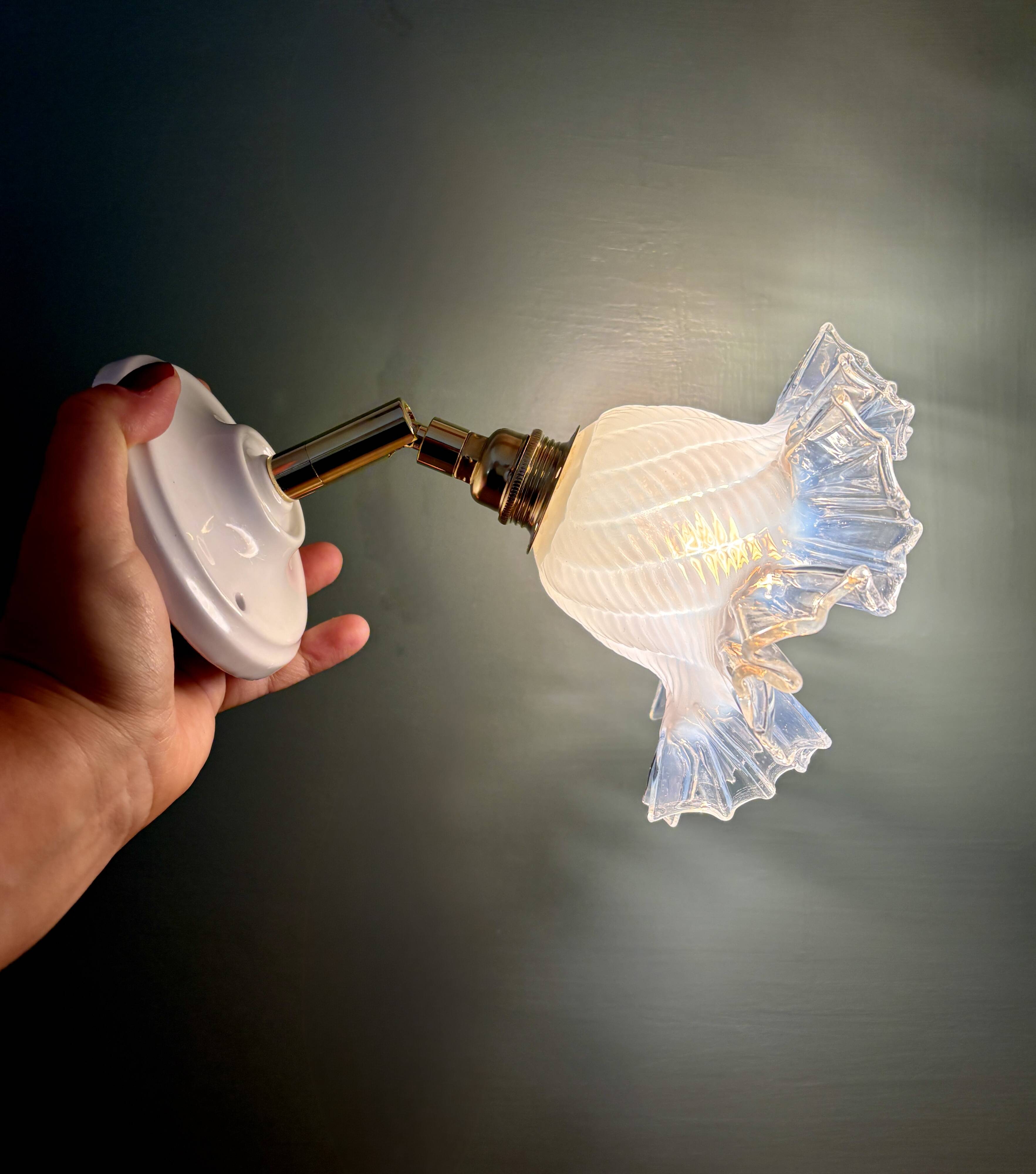 Vintage tulip glass wall light in transparent, slightly pearlescent white.