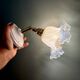 Vintage tulip glass wall light in transparent, slightly pearlescent white.