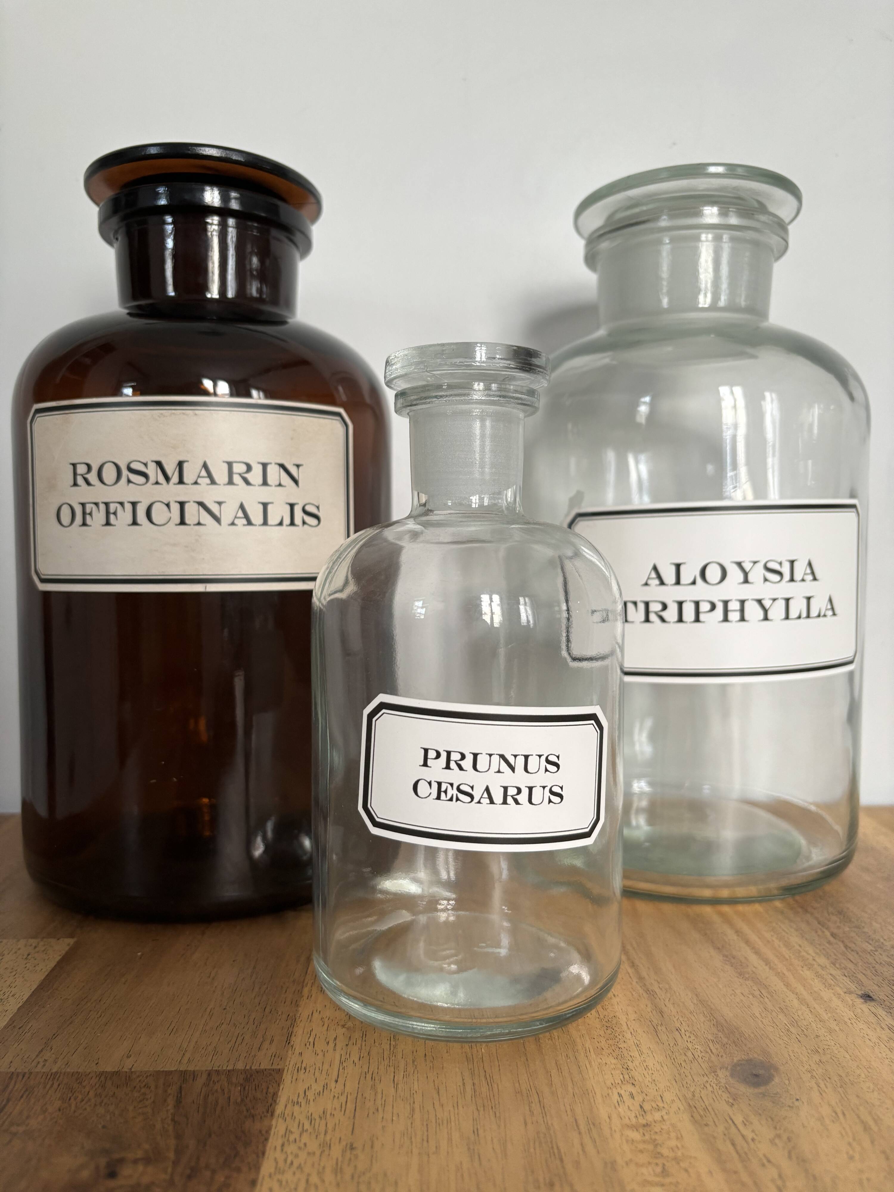 Apothecary bottles - vintage