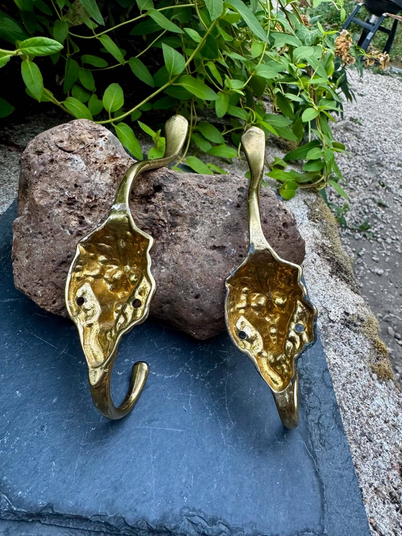 2 lion coat hooks in solid brass Art Nouveau