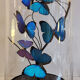 Papillons Morpho sous globe verre