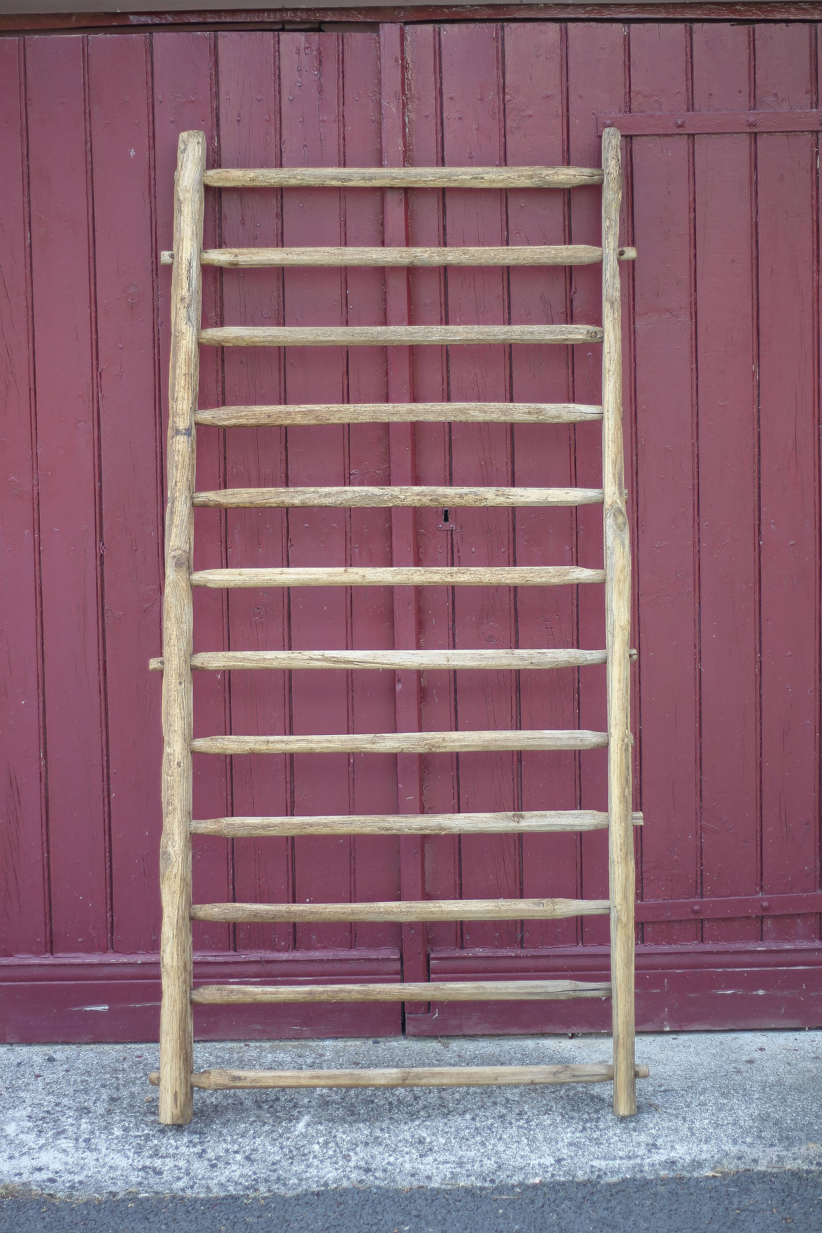 Antique vintage wooden animal fence, wall trellis, plant stand
