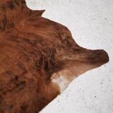 Large Zebu cowhide / rug, Brazil