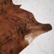 Large Zebu cowhide / rug, Brazil
