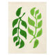 Peinture sur papier - illustration leaf - signée eawy