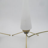 Pair of vintage brass tripod lamps and opaline tulips