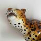 Italian handpainted leopard in ceramic, 1950s